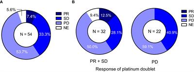 Impact of the response to platinum-based chemotherapy on the second-line immune checkpoint inhibitor monotherapy in non-small cell lung cancer with PD-L1 expression ≤49%: a multicenter retrospective study